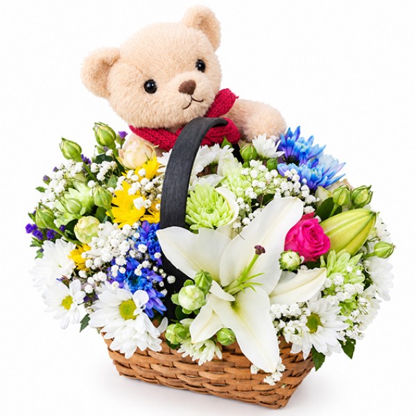  Basket Cutie