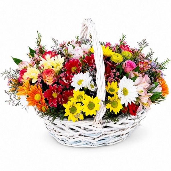 Bouquet Sunlight