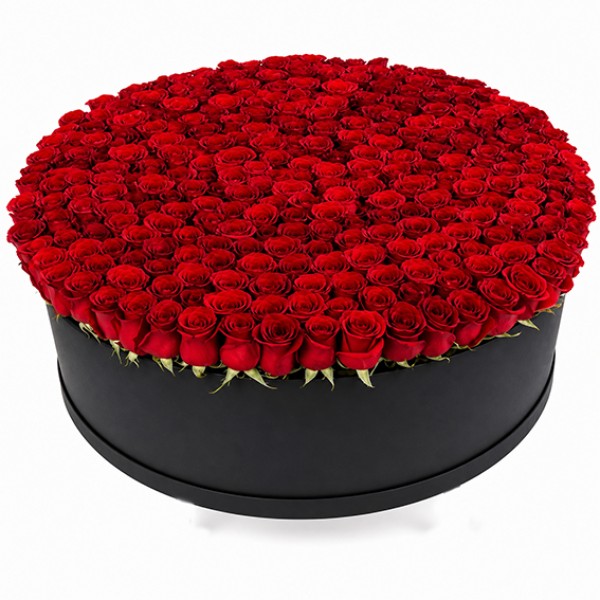 101 roses in a box