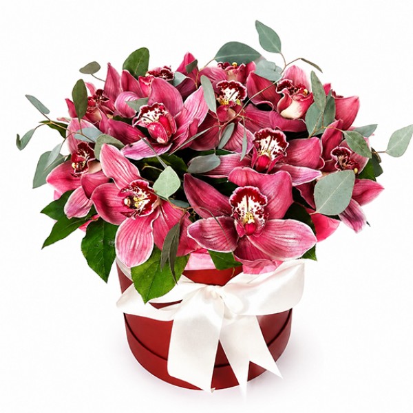 Orchids in a box
